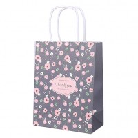 Recyclable fashionable kraft paper bag for festival gifts packaging with twisted/flat paper handles