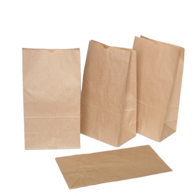 biodegaradable recyclable custom logo wholesale shopping plain brown kraft paper bag